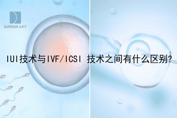 泰国SuperiorART燕威娜专家讲解,IUI技术与IVF/ICSI技术之间有什么区别？