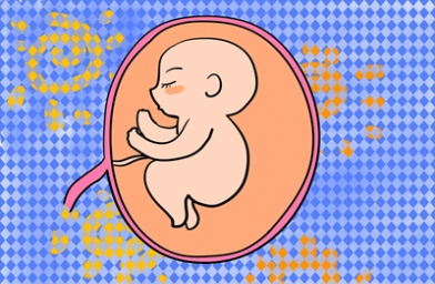 上海试管婴儿移植几个胚胎好？