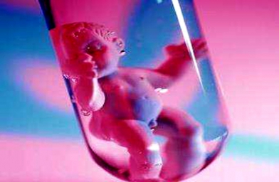 广东广州做试管婴儿，哪些因素影响胚胎质量？