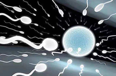 上海做试管有排卵就能怀孕吗？