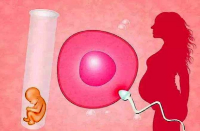 成都卵巢早衰女性如何做试管？
